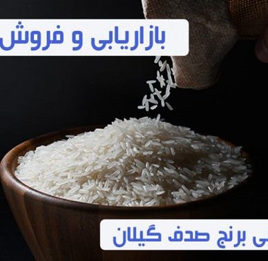 بازاریابی و فروش برنج