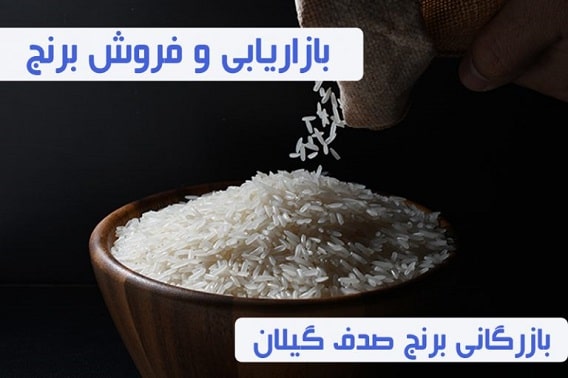 بازاریابی و فروش برنج